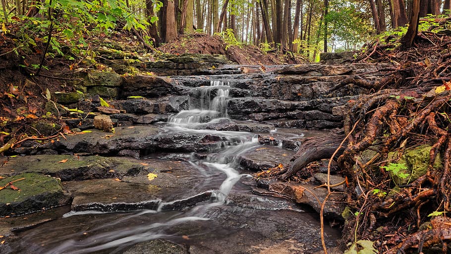 Water Falls Illustration, creek, environment, foliage, forest HD wallpaper