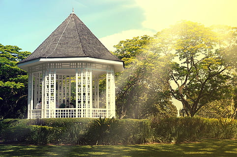white gazebo near tree, brown, concrete, gazeebo, daytime, sunshine HD wallpaper