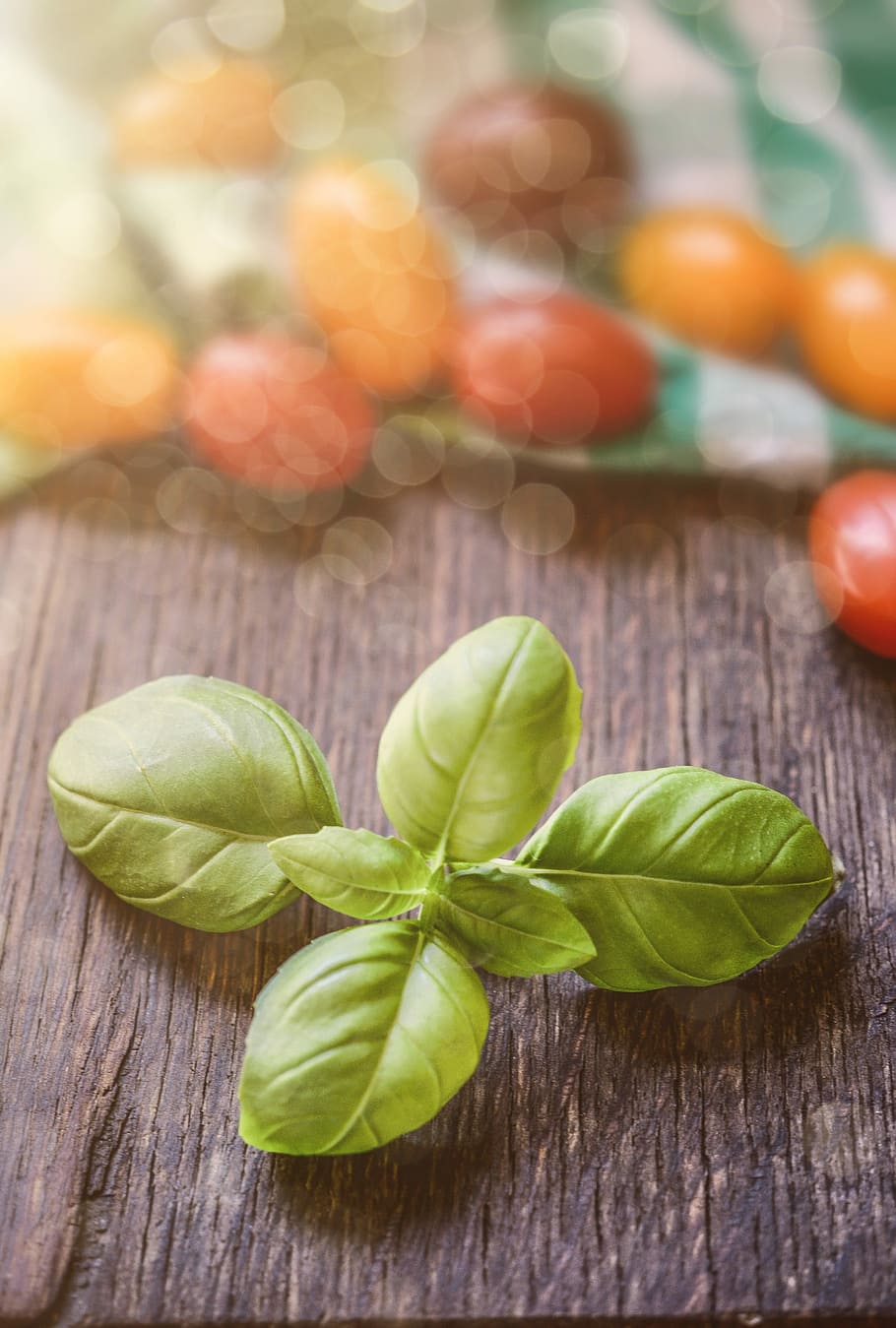 basil, tomato, wallpaper, background, food, fresh, vegetable HD wallpaper