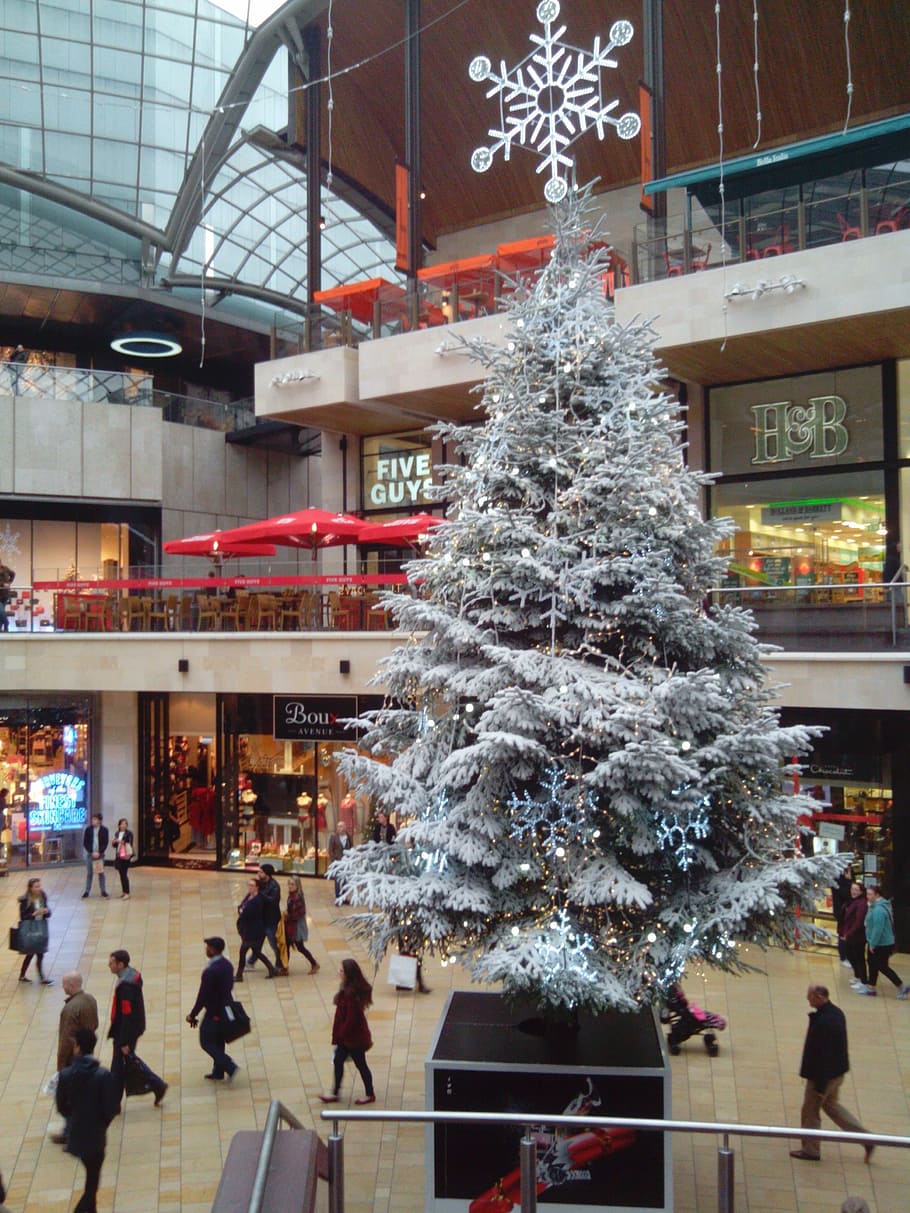 christmas, tree, pine, star, lights, shopping plaza, holiday HD wallpaper