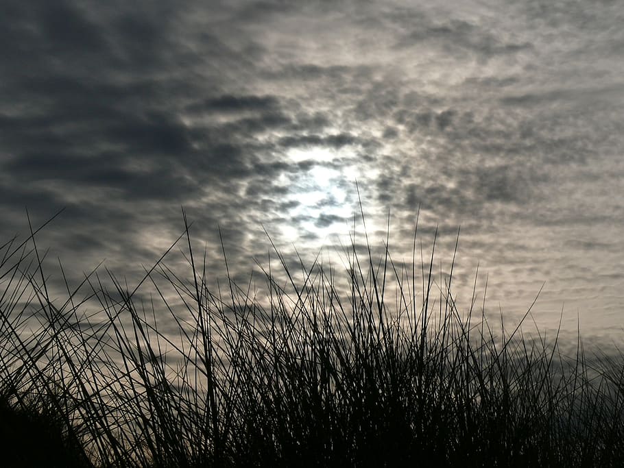 seaside, sky, moon, clouds, light reflections, nature, evening HD wallpaper