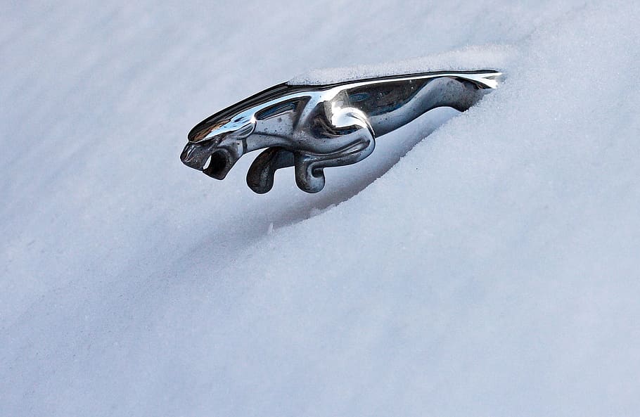 Jaguar, Snow, Winter, cold - Temperature, white, ice, no People HD wallpaper