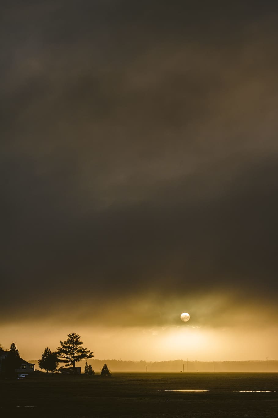 silhouette of trees during golden hour, sun shining over tree with cumulus clouds HD wallpaper