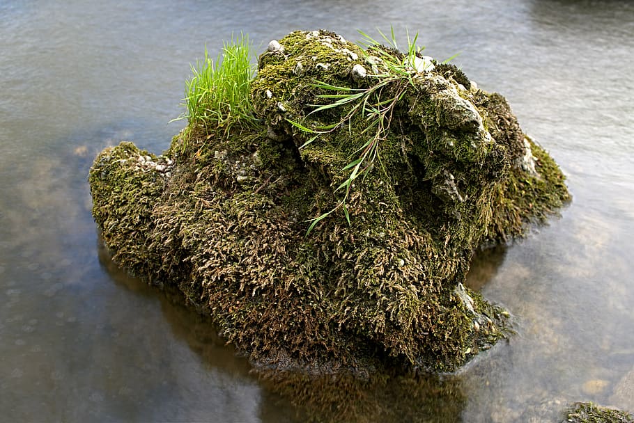 long time exposure, river, stone, grasses, water, nature, waters HD wallpaper