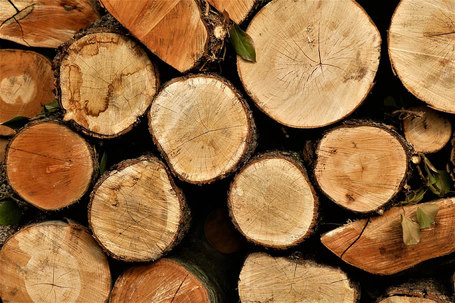 firewood, tree, background, billet, the sawed down, circles HD wallpaper