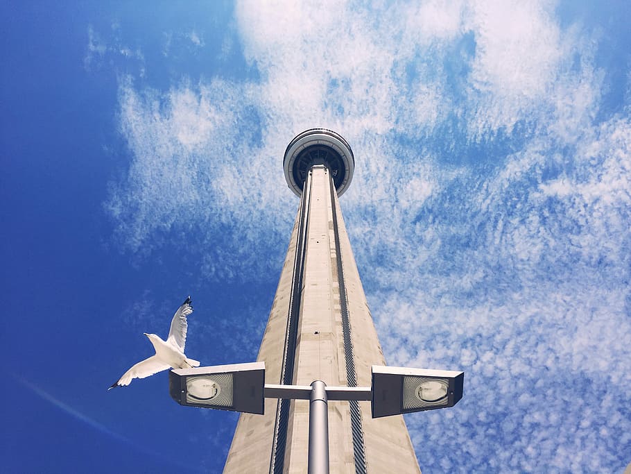 low-angle photography of white tower, space needle under sunny sky HD wallpaper
