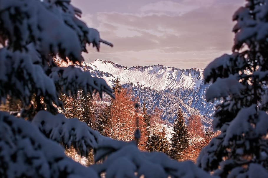 Winter, Landscape, Mountains, Snow, wintry, trees, sky, view HD wallpaper