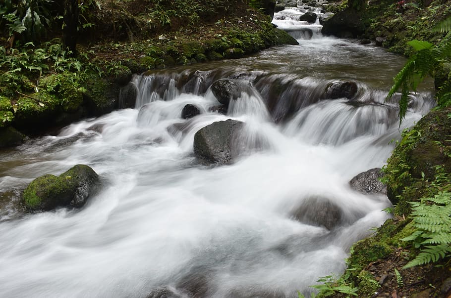 Stream, Creek, Water, Waterfall, Cascade, outdoor, natural HD wallpaper