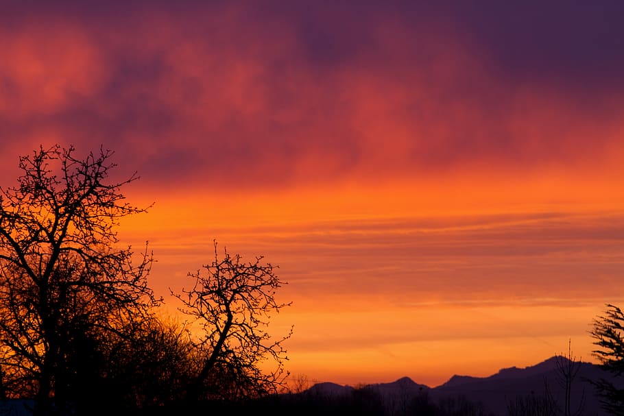 sunset over the mountain, sunrise, dawn, nature, clouds, trees HD wallpaper
