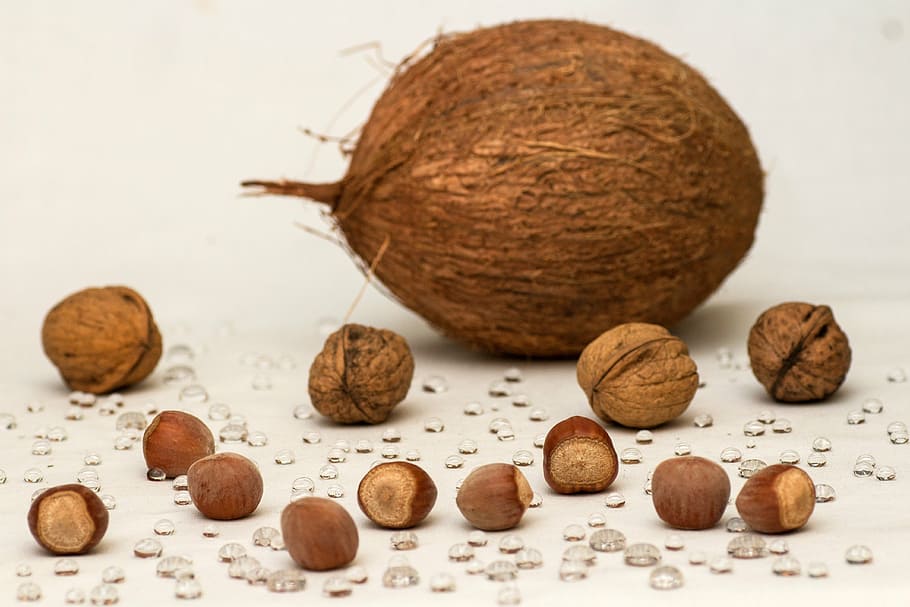coconut husk and nuts, still life, walnuts, hazelnuts, drop of water HD wallpaper