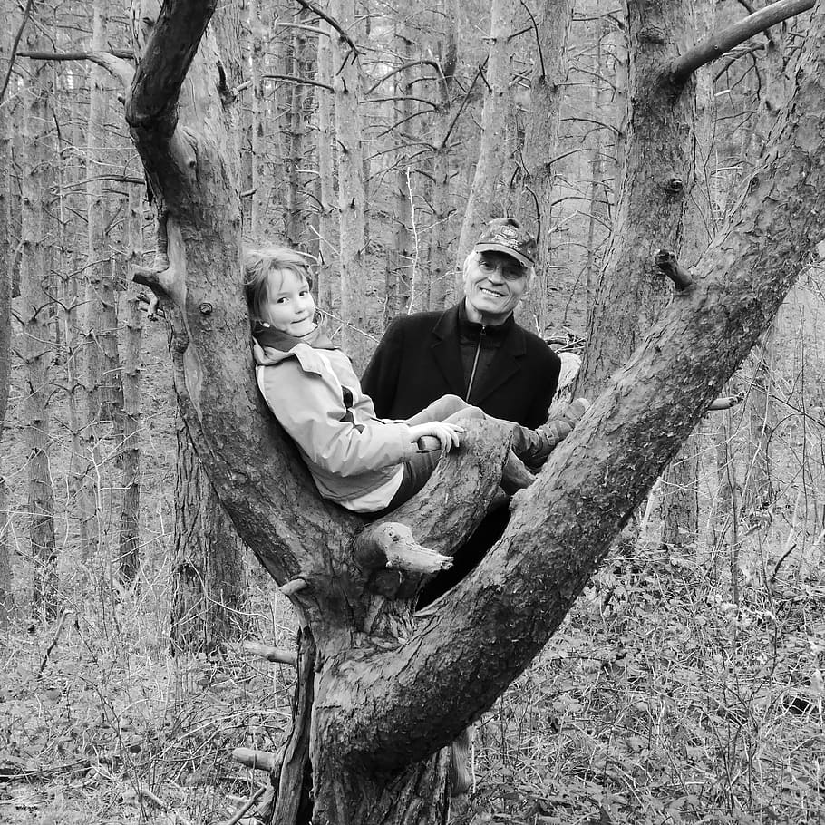 father, child, forest, tree outing, climbing, human, family HD wallpaper
