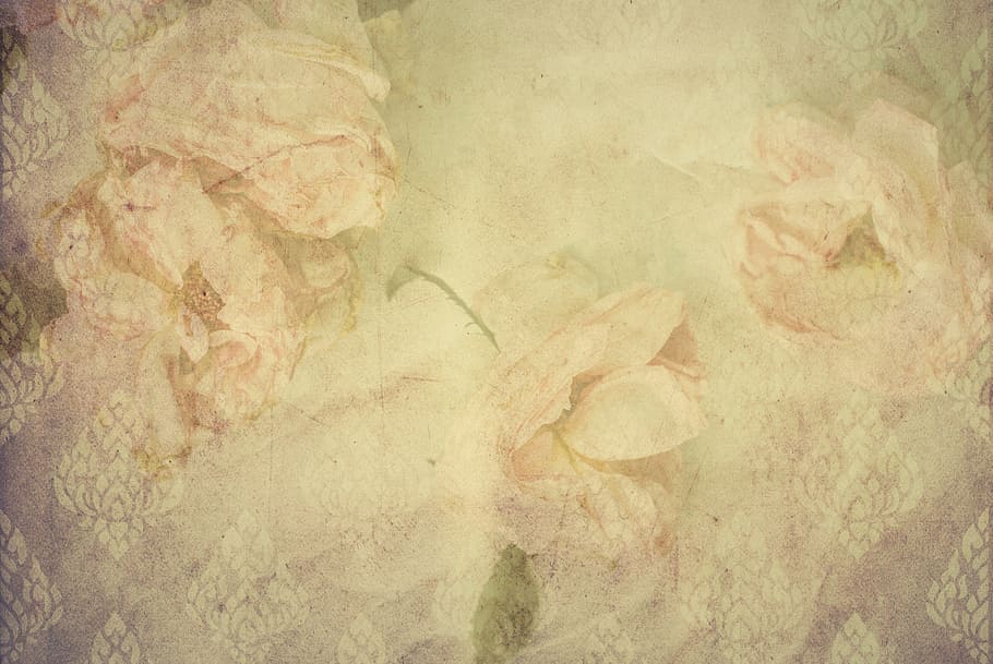 white and pink floral textile, roses, vintage, handwritten, page, HD wallpaper