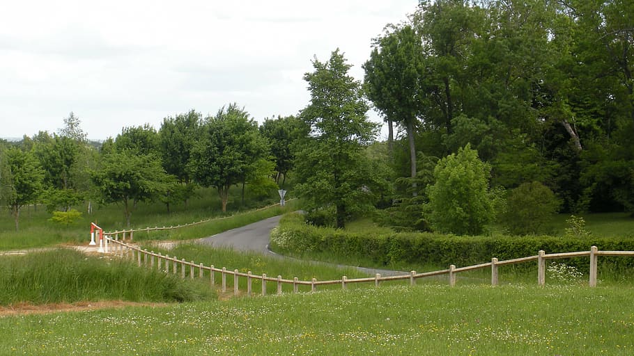 field, landscape, nature, trees, france, fence, grass, rural Scene HD wallpaper