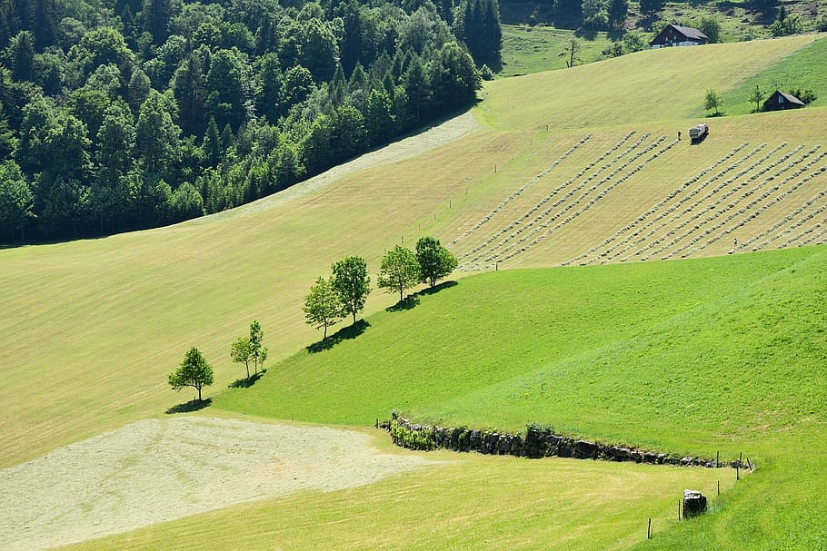 Landscape, Hay, Nature, reported, green, agriculture, field HD wallpaper