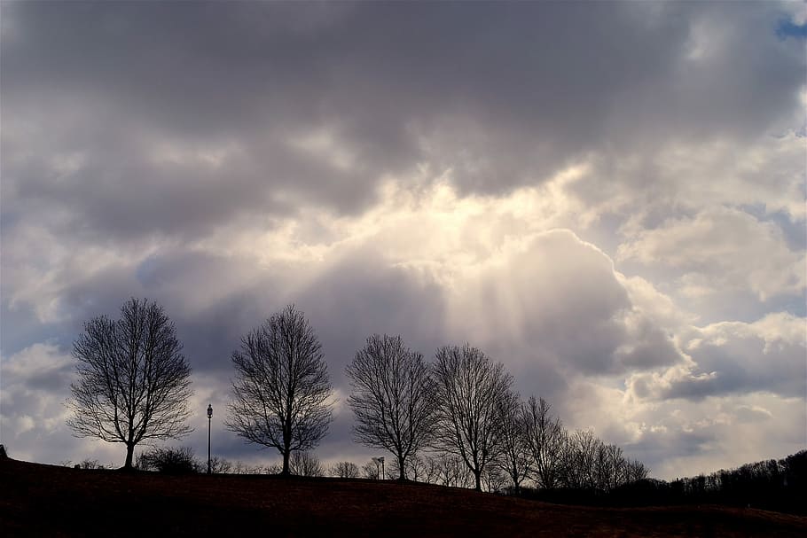 Dark Clouds, Dramatic, Light, dramatic light, sky, cloudscape HD wallpaper