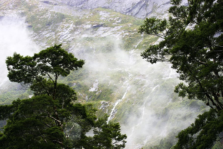 Trees, Fog, Clouds, Forest, Mist, foggy, scenic, nature, waterfall HD wallpaper