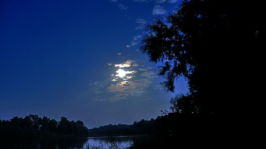 river, moonlight, summer, nature, tree, lake, forest, sky, outdoors HD wallpaper