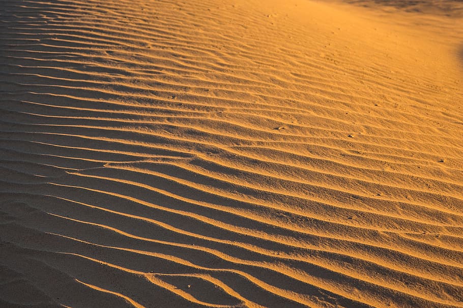 sahara, morocco, berber, sand, land, pattern, wave pattern