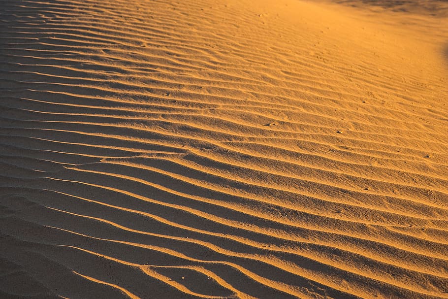 sahara, morocco, berber, sand, land, pattern, wave pattern, HD wallpaper