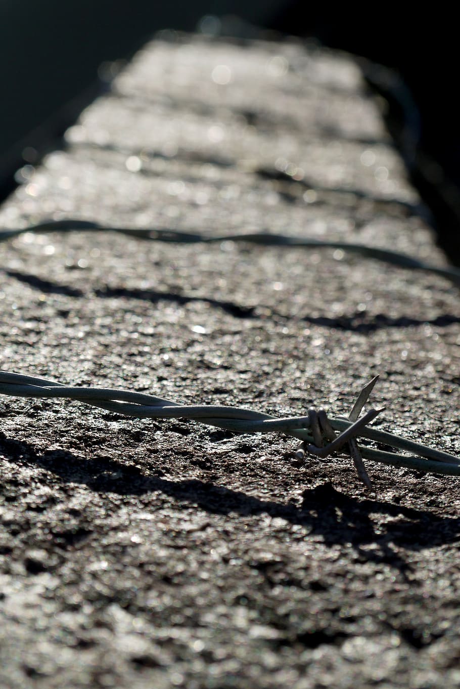 barbed wire, wall, danger, forbidden, ban, closing, city, prison HD wallpaper