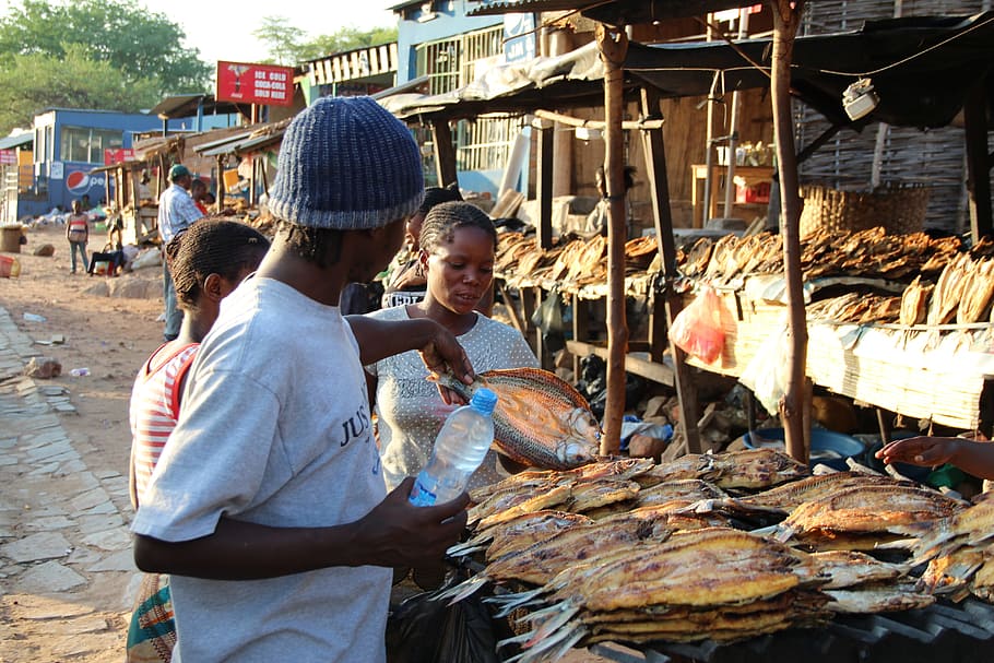 Market, Dry, Fish, Outdoors, Africa, Town, dry fish, luangwa, HD wallpaper