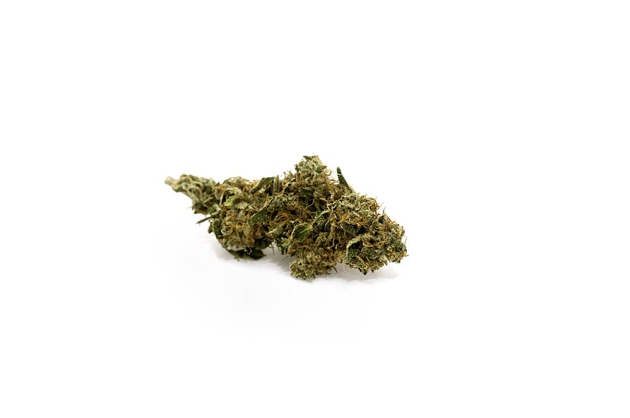 marijuana, cannabis, bud, healthcare and medicine, marijuana - herbal cannabis, HD wallpaper