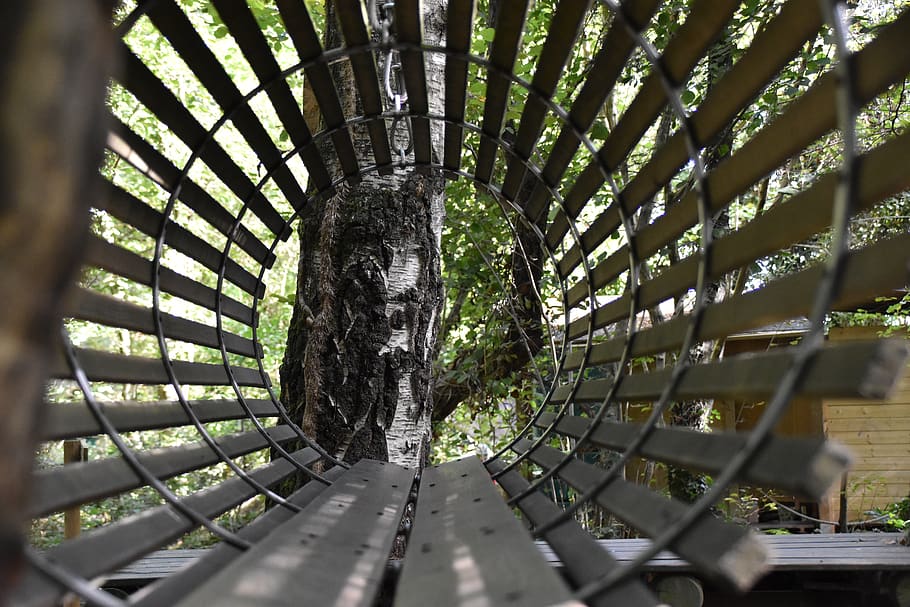 forest, nasse, perspective, pattern, architecture, indoors HD wallpaper