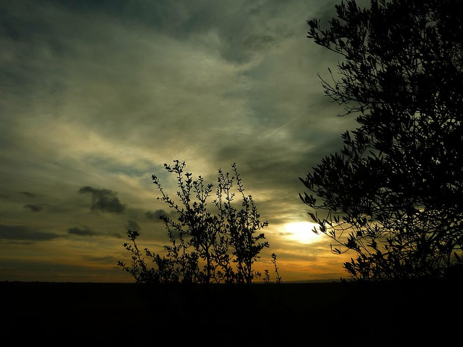 sunset, field, winter, landscape, backlight, olive, horizon HD wallpaper