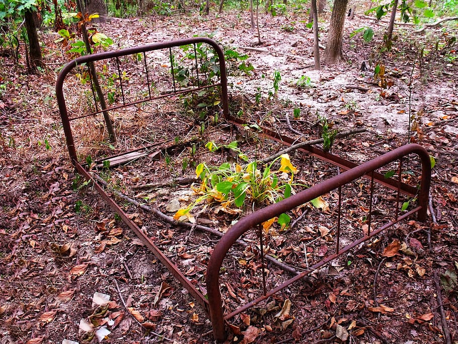 cot, iron, scrap, old, discarded, junk, rusted, plant, land HD wallpaper