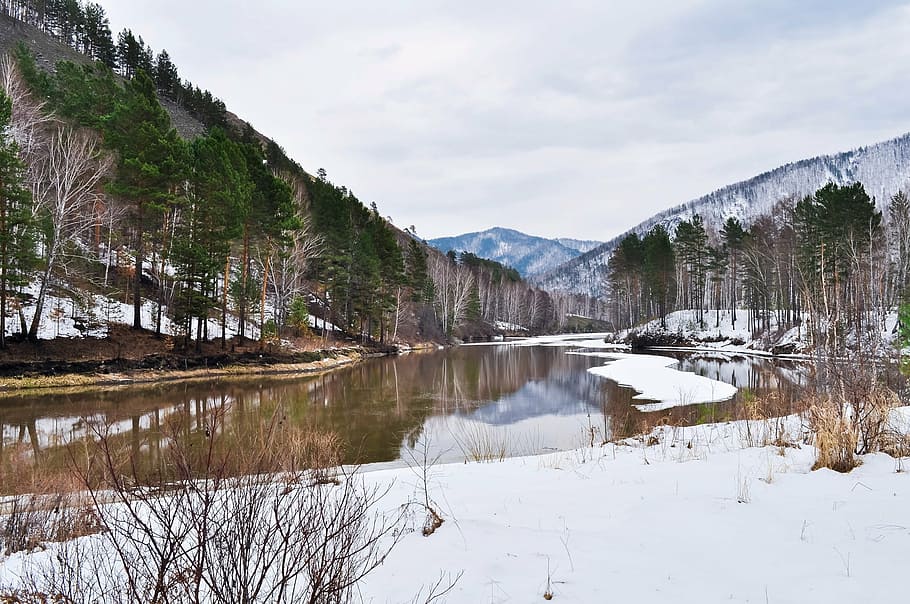 mountains, nature, snow, trees, water, forest, river, deserted HD wallpaper
