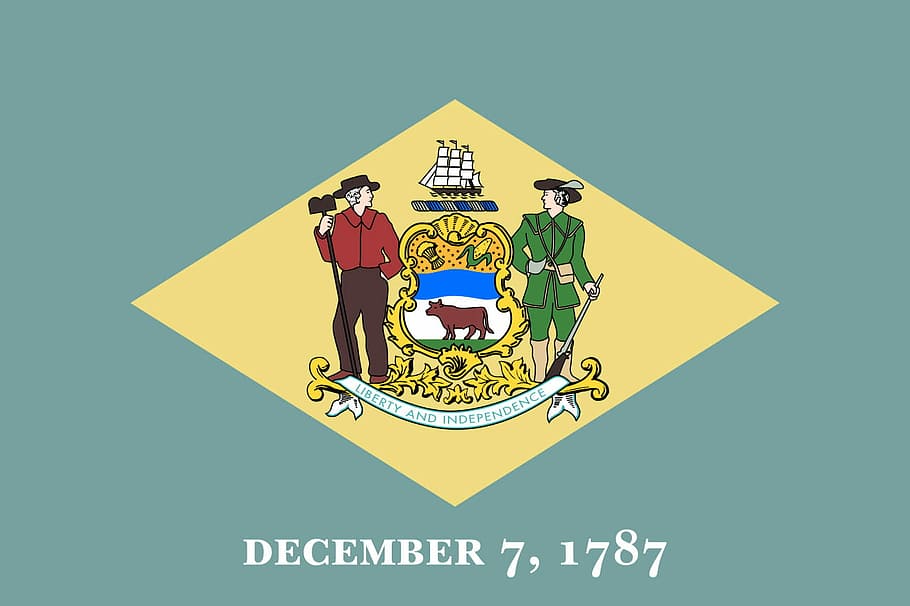Flag of Delaware, emblem, photos, public domain, symbol, vector, HD wallpaper