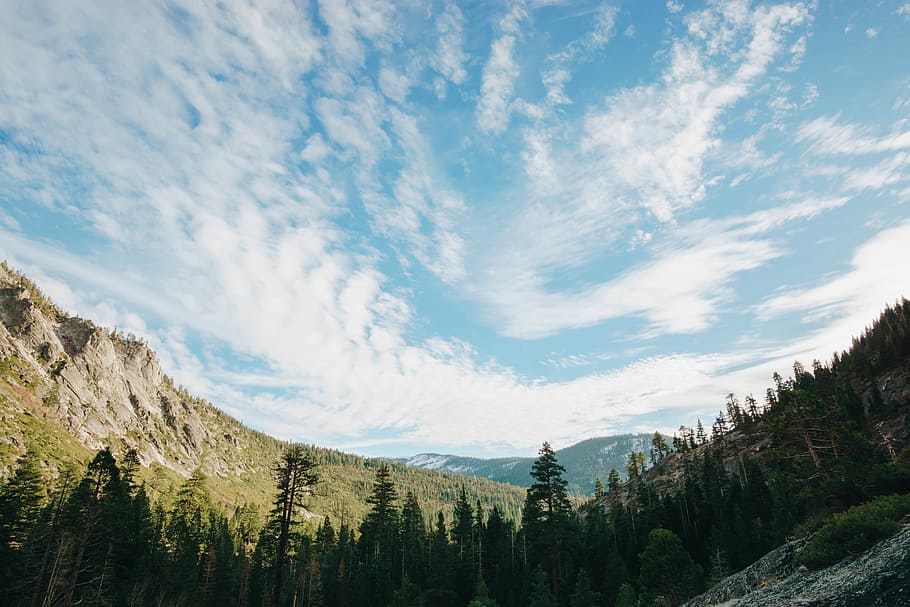 photography of pine trees during daytime, white clouds over green forest mountain photography HD wallpaper