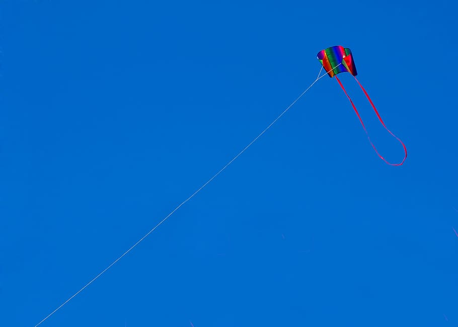 kite, dragons, wind, beach, north sea, holland, blue, water HD wallpaper