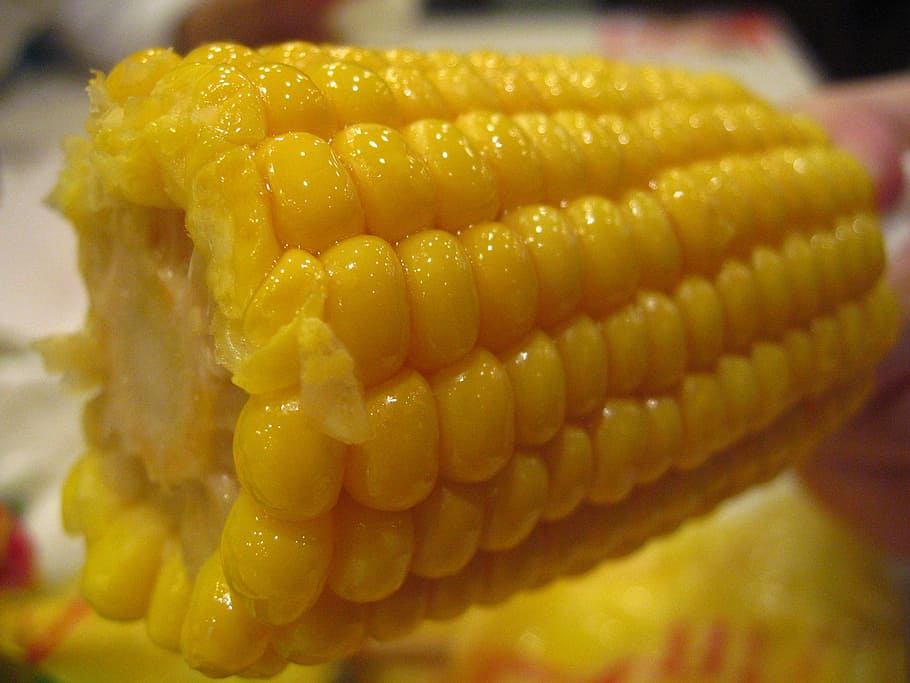corn, food, kfc corn, yellow, food and drink, close-up, freshness, HD wallpaper