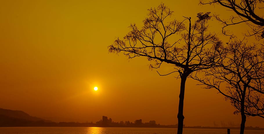 the evening sun, trees, river, sky, sunset, silhouette, nature HD wallpaper