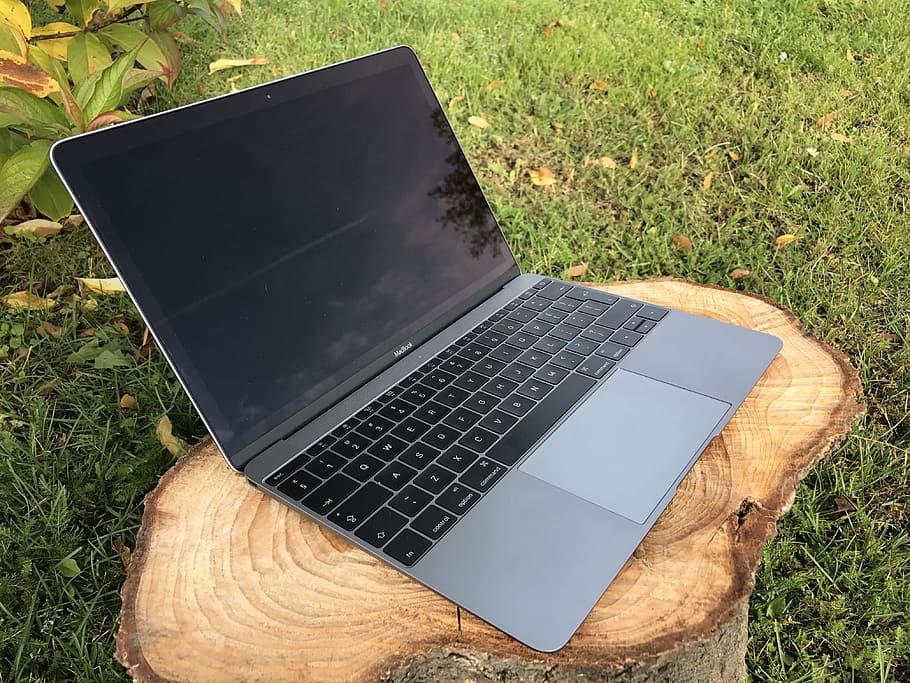 Macbook, Laptop, Apple, Keyboard, Screen, trunk, foliage, grass HD wallpaper