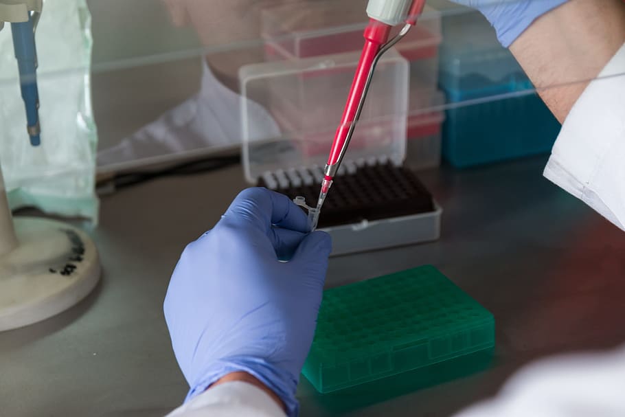 person holding red plastic tool, laboratory, analysis, diagnostics HD wallpaper