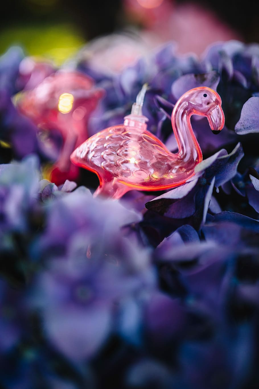 Flamingo light garland & pink flowers, summer, lamp, fun HD wallpaper