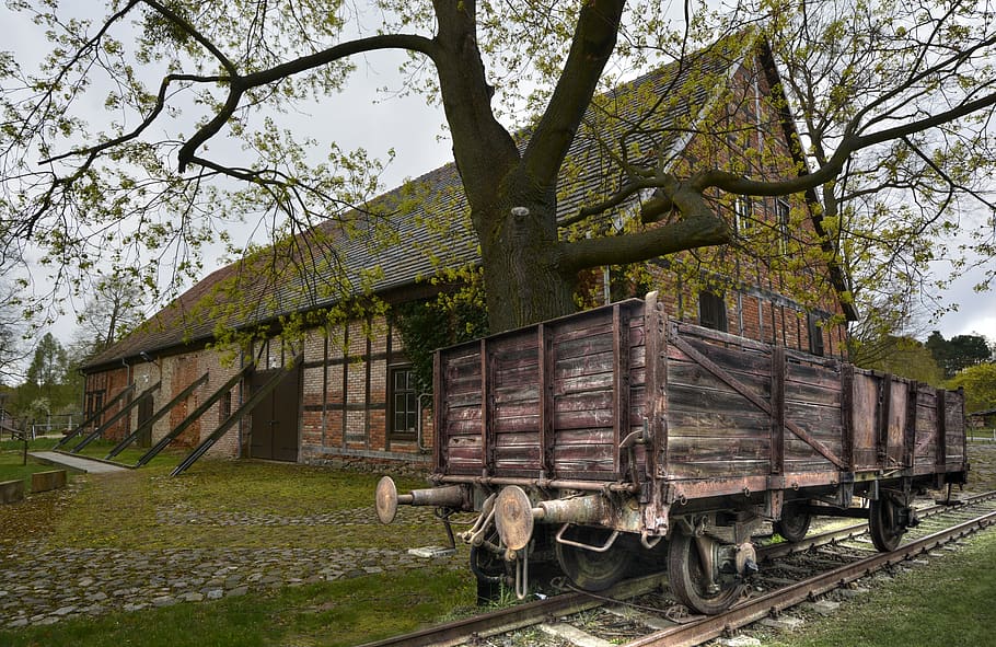 carriage, museum, old, wagon, train, tree, plant, built structure HD wallpaper