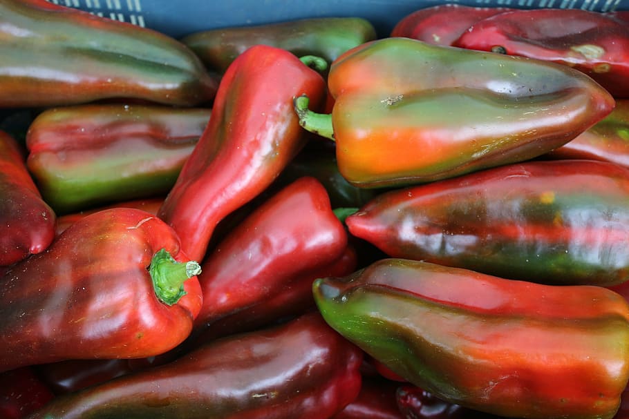paprika, pepper, vegitable, pimentos, food and drink, freshness HD wallpaper