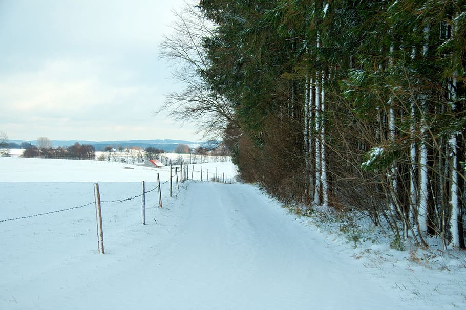 germany, nature, bavaria, landscape, winter, snow, cold, forest HD wallpaper