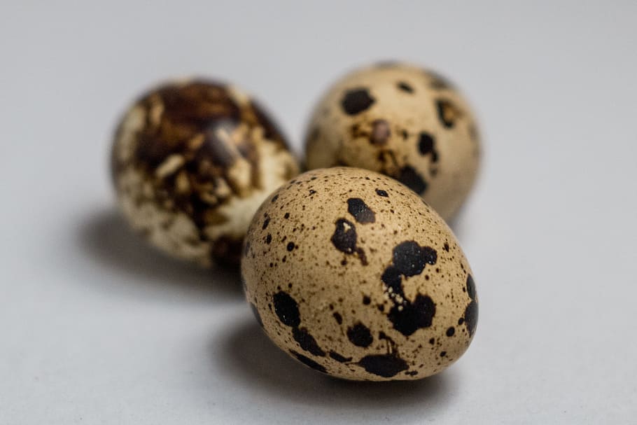 egg, white, quail, food, health, breakfast, market, sell, nature HD wallpaper