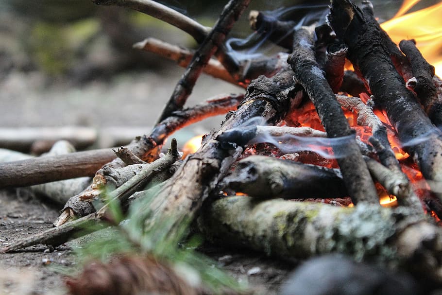 close-up of bonfire, Summer, Camp, Camp, Wood, campire, tourism