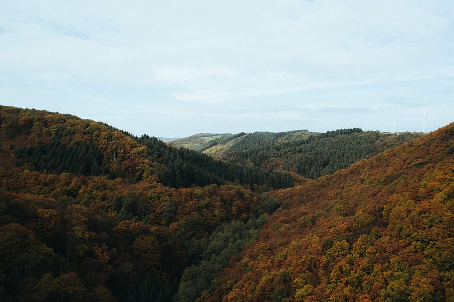 aerial photography of forest mountain, brown, green, mountains HD wallpaper