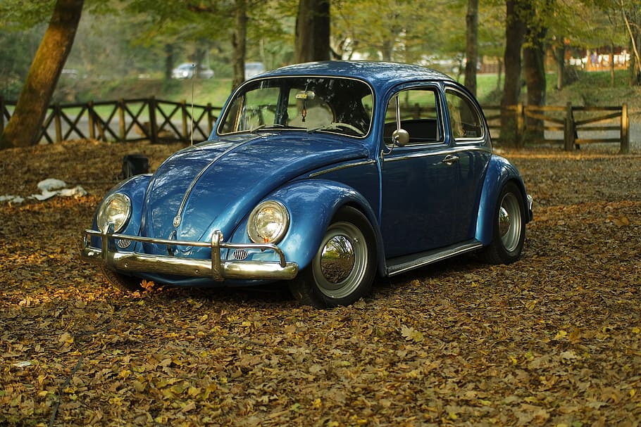 blue Volkswagen Beetle coupe parked near trees, car, vintage