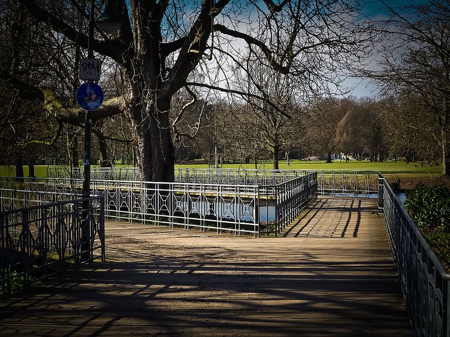 bridge, web, nature, water, away, railing, park, historically HD wallpaper