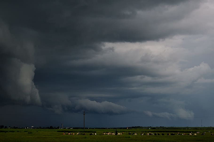 Landscape, Clouds, storm, rain, cloudscape, cloudy, day, gray HD wallpaper
