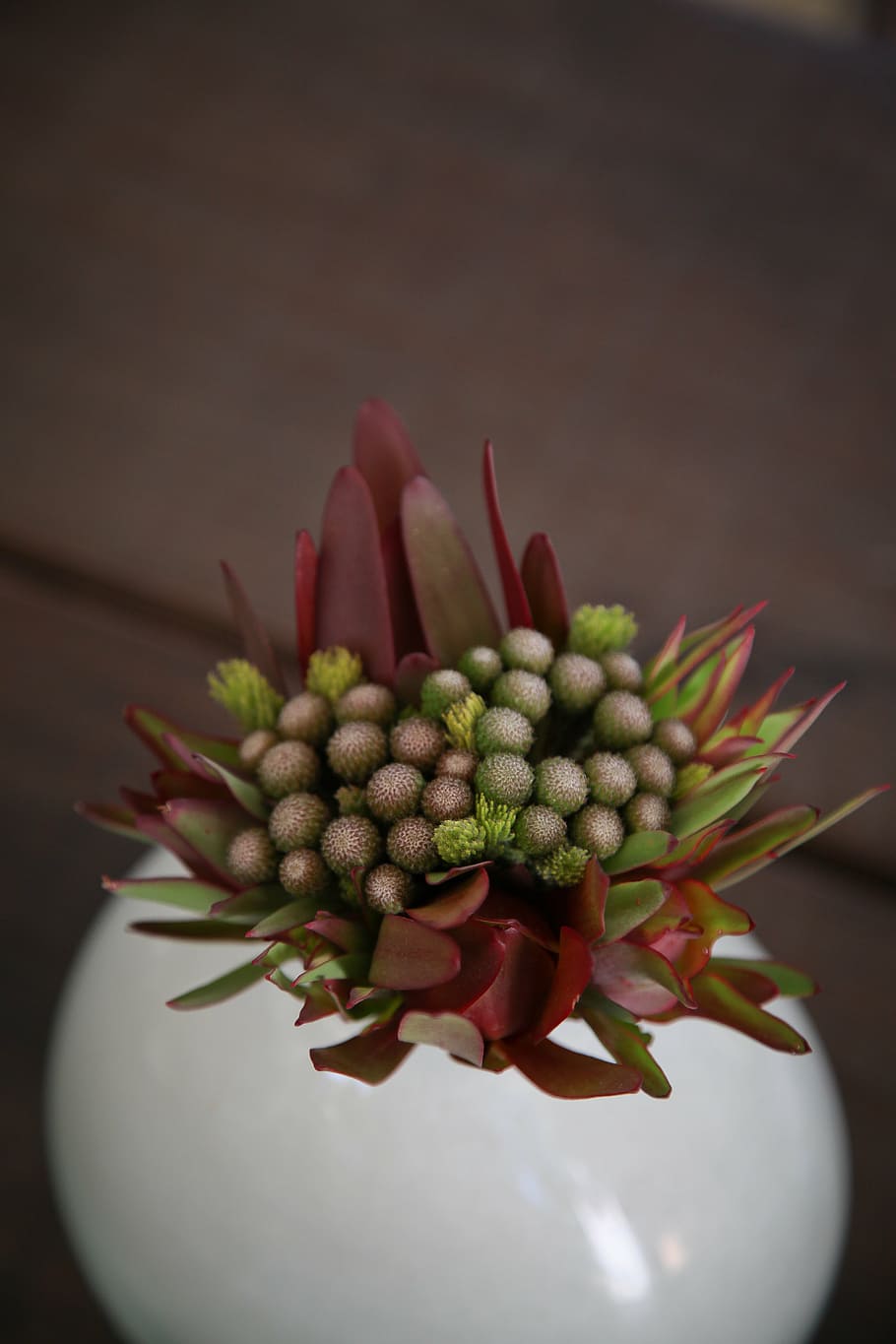 colour, flowers, function, wedding, food and drink, no people HD wallpaper