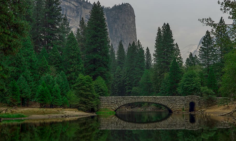 landscape photography of trees near body of water, bridge, reflection HD wallpaper