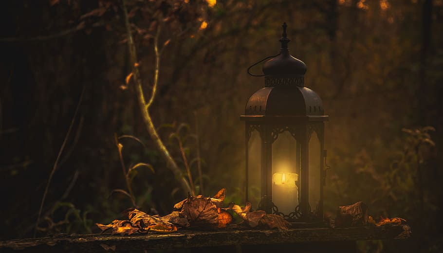 yellow pillar candle in black lantern, lantern beside tree, flame HD wallpaper